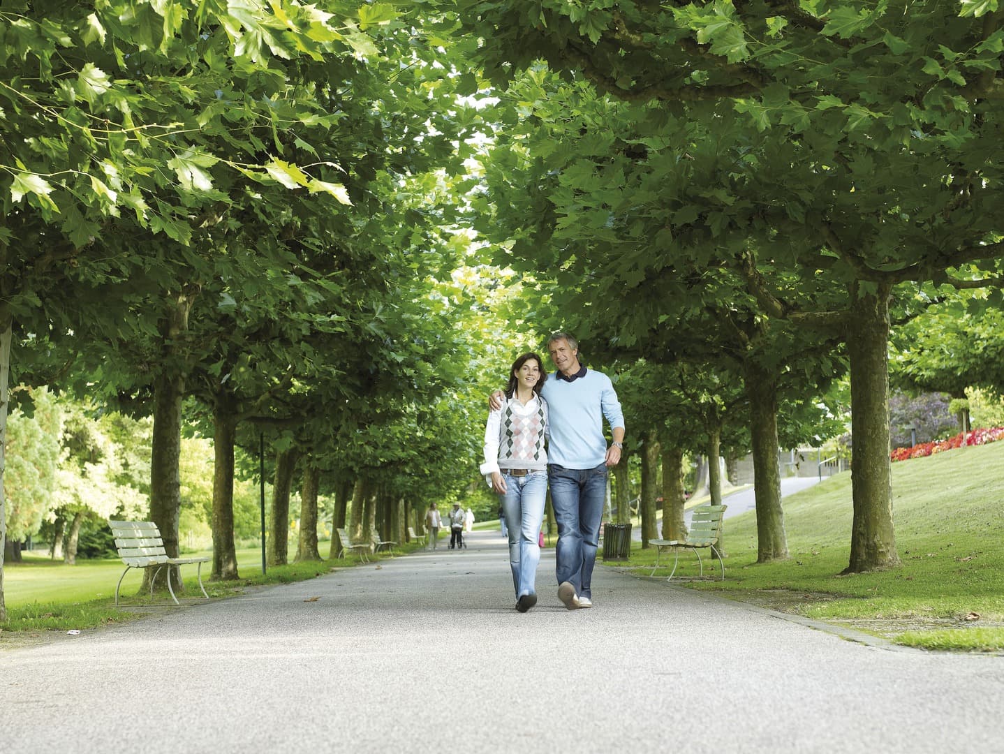 Allee im Kurpark Bad Orb – der Weg zur Therme
